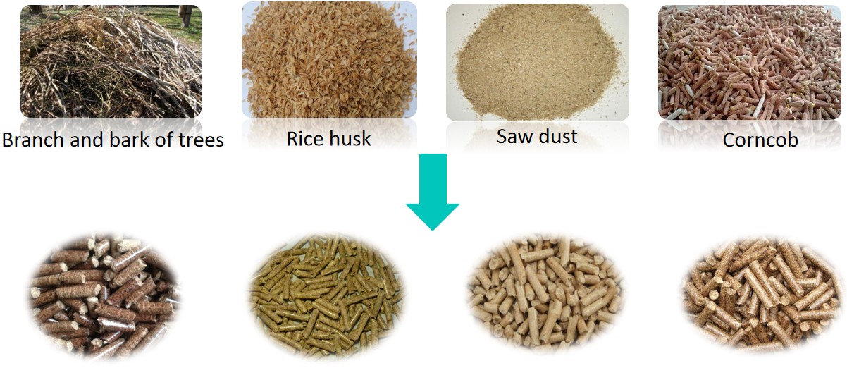 Biomass Pellets