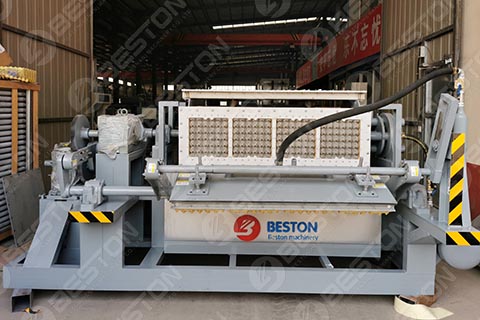 BTF4-4 Egg Tray Machine for Sale